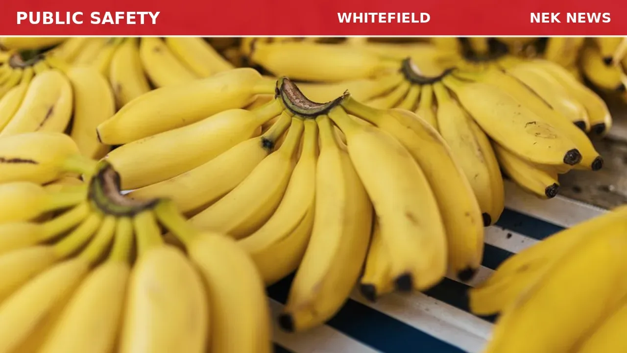 Bananas Spilled Across Highway in Whitefield