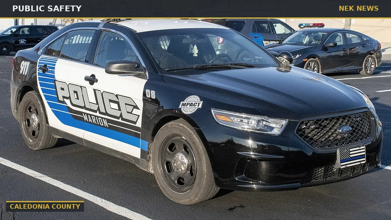 Danville man cited for domestic assault
