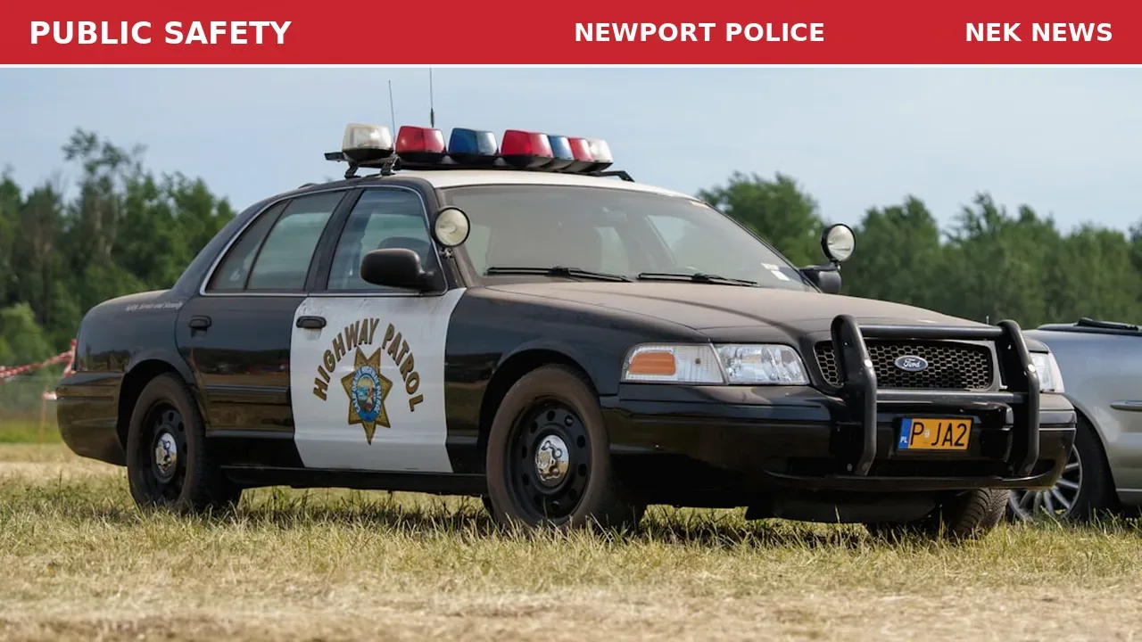 68-Year-Old Man Injured After Dog Pulls Him Down in Charleston