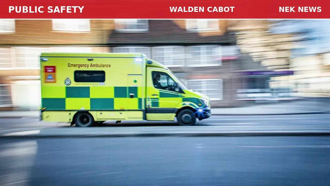 Medical Call for Dizzy Vomiting Man