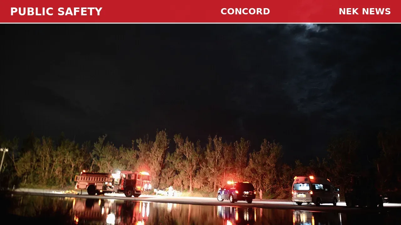 Crash on Shiloh Lake Road in Concord, Vehicle Hits Tree