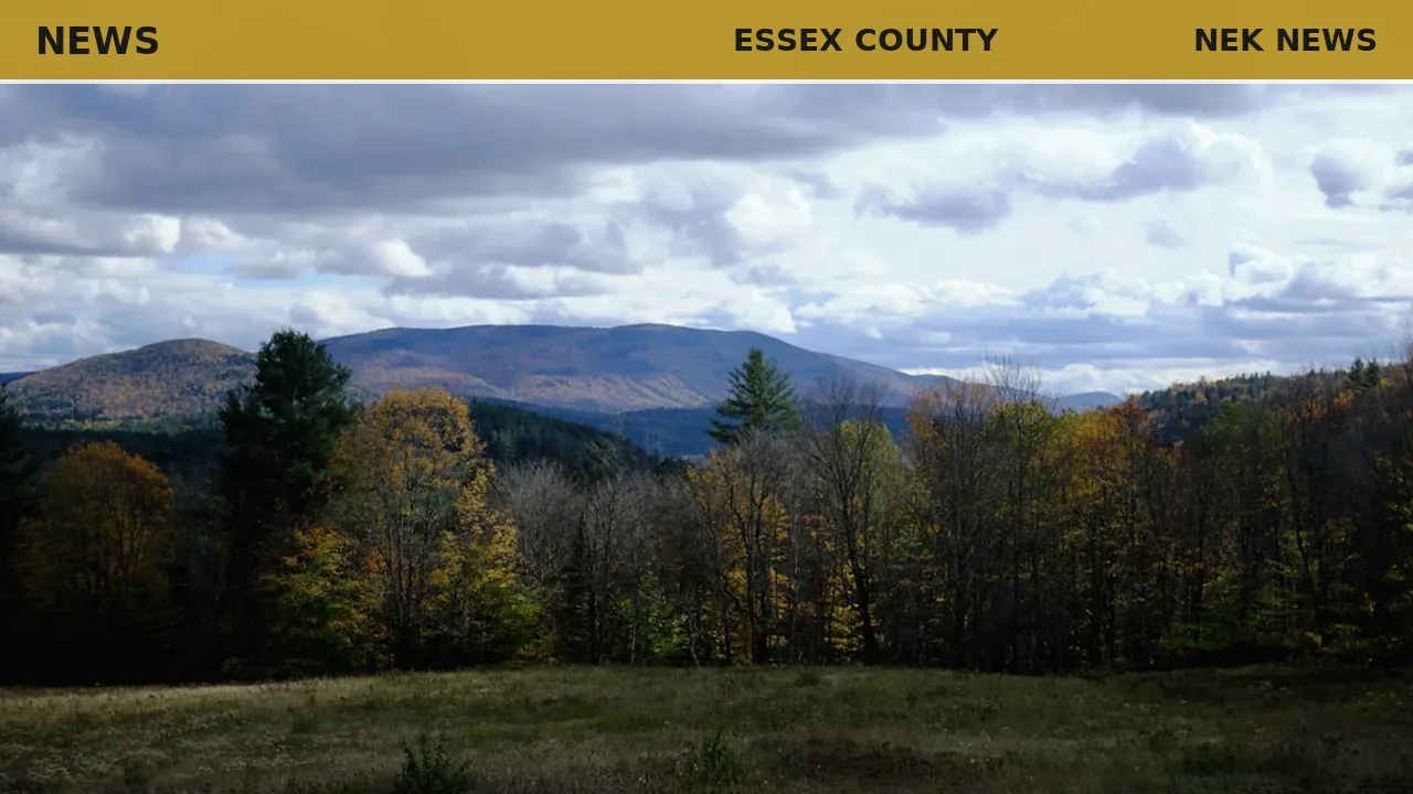 Essex County forester reflects on 25 years of woodland stewardship