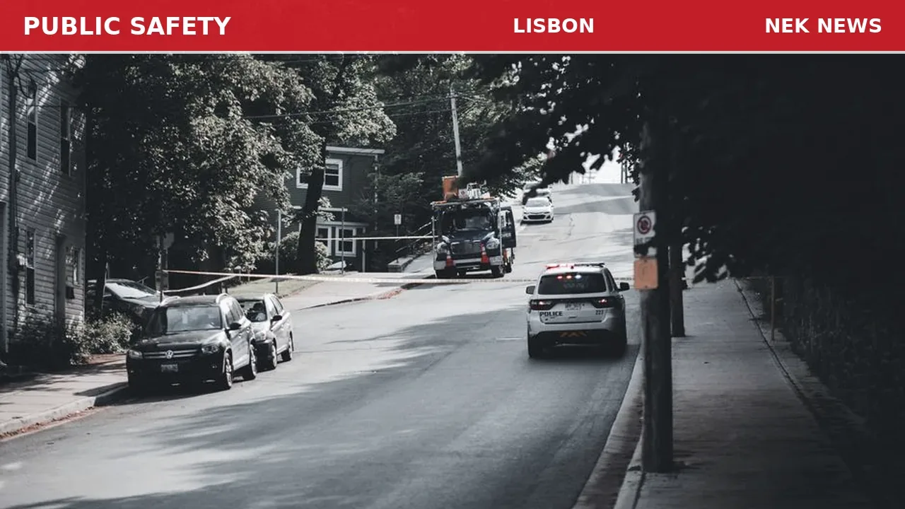 Dispute Over Vegetation Cutting in Lisbon