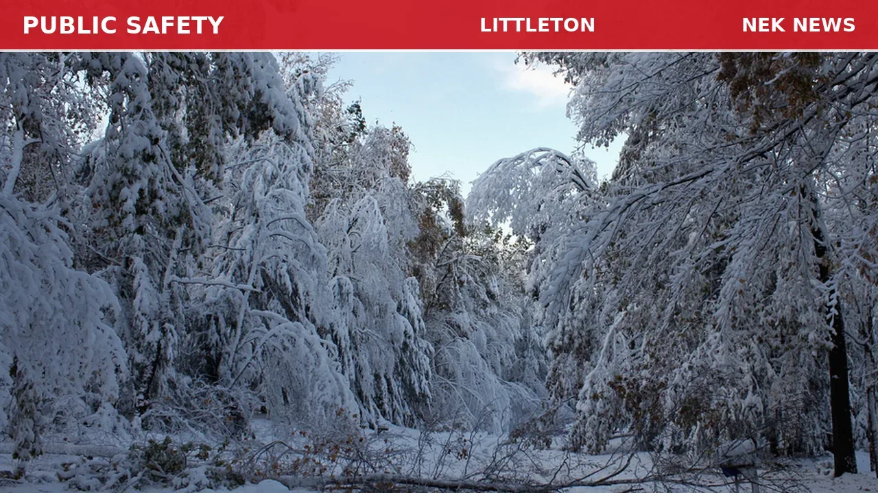 Tree Down on Lincoln Avenue in Littleton Requires Highway Department