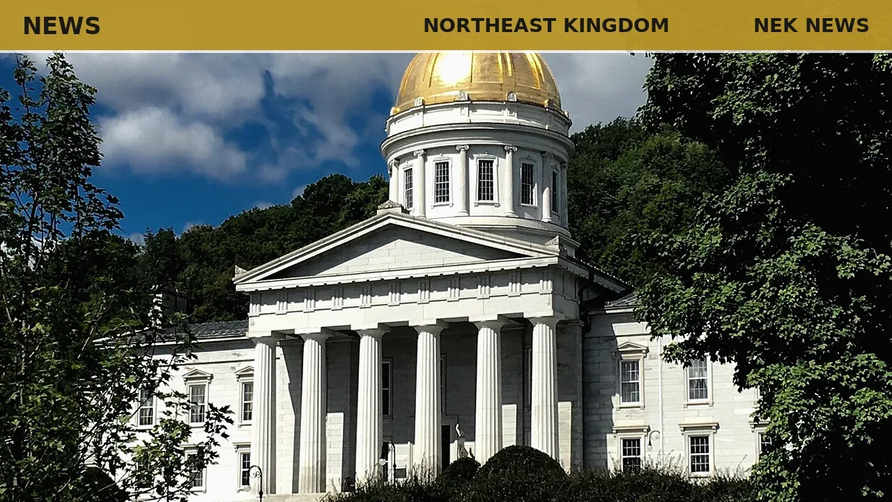 NEK Day draws nearly 100 to Statehouse for rural advocacy