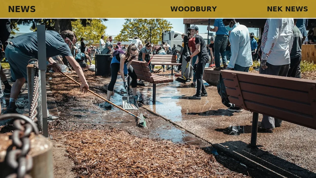 Linden trees replace older trees in Woodbury