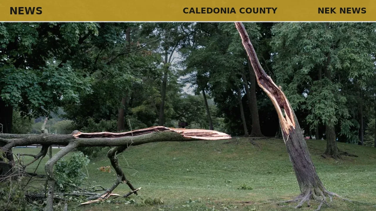 Storm topples trees, blocks roads and trails in East Burke