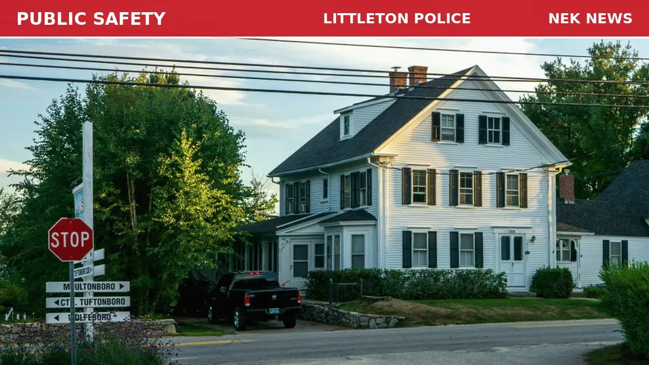 Bear Reported Banging on Door on Reed Road in Littleton