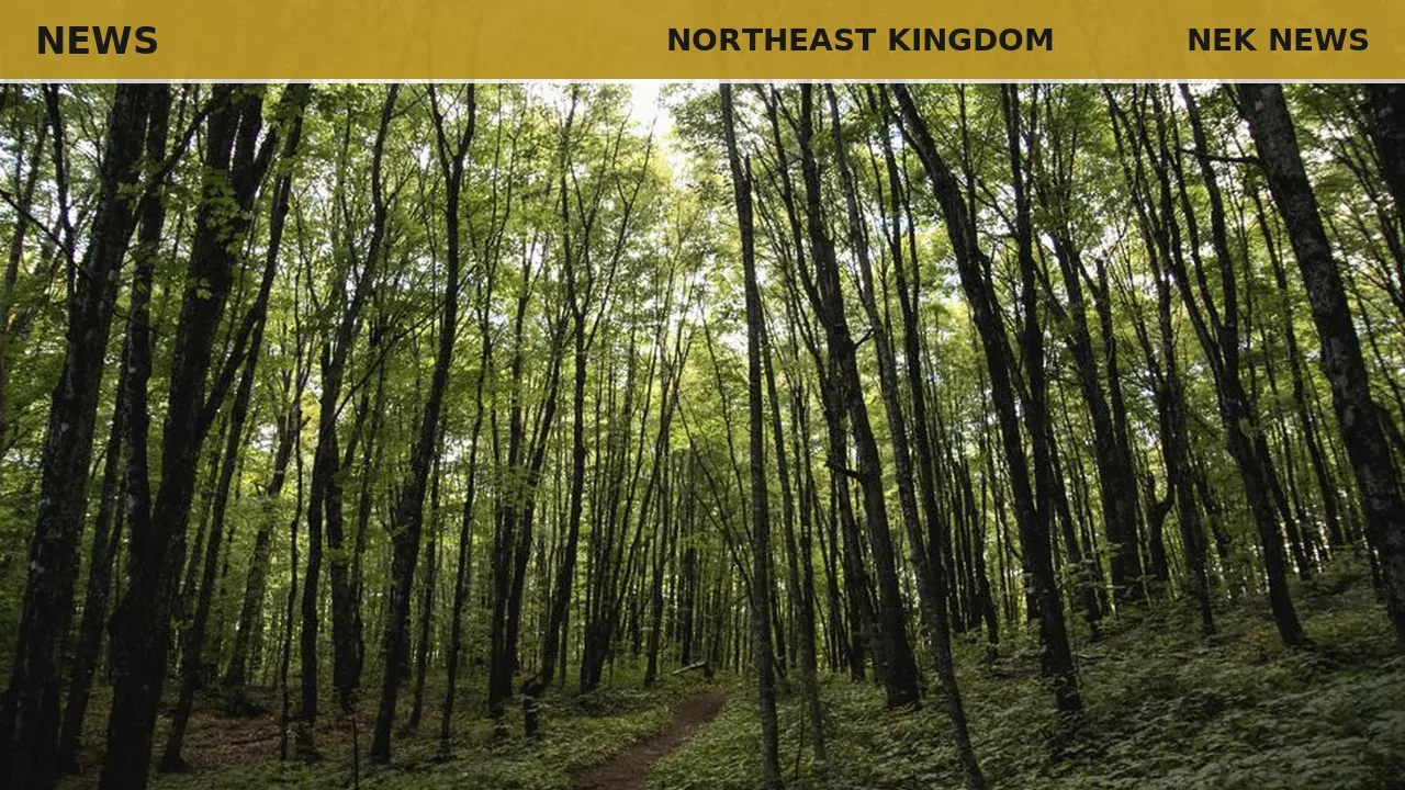 NorthWoods, NVDA team up on class 4 road erosion projects