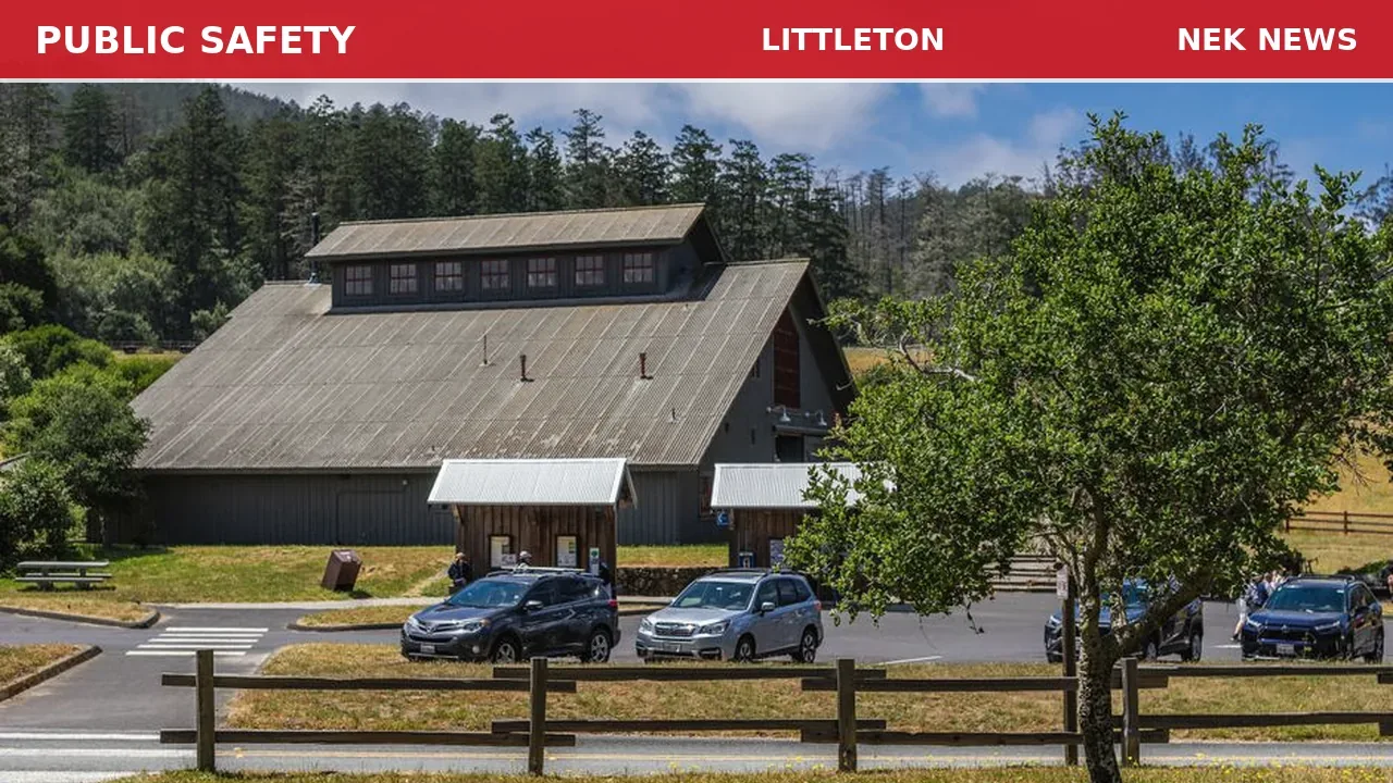 Black Bear Spotted at Lane House in Littleton