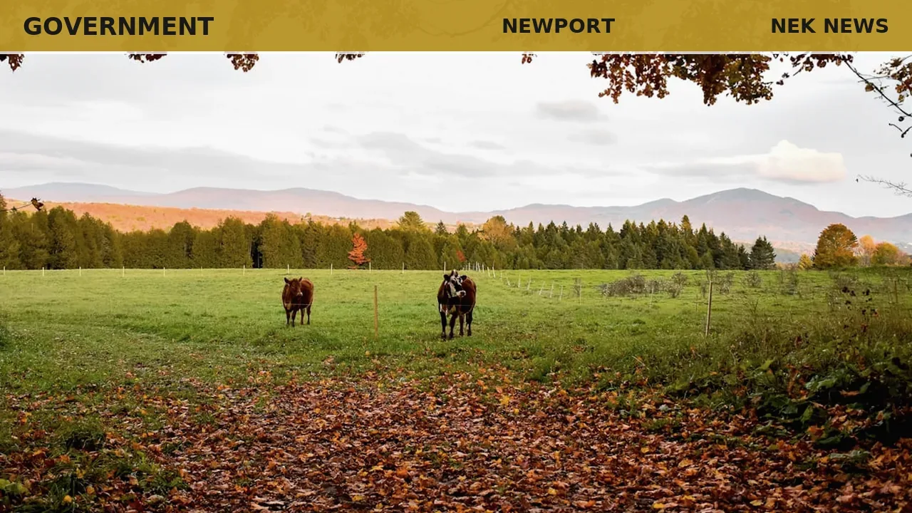 Joe Gunter hired as Newport city manager