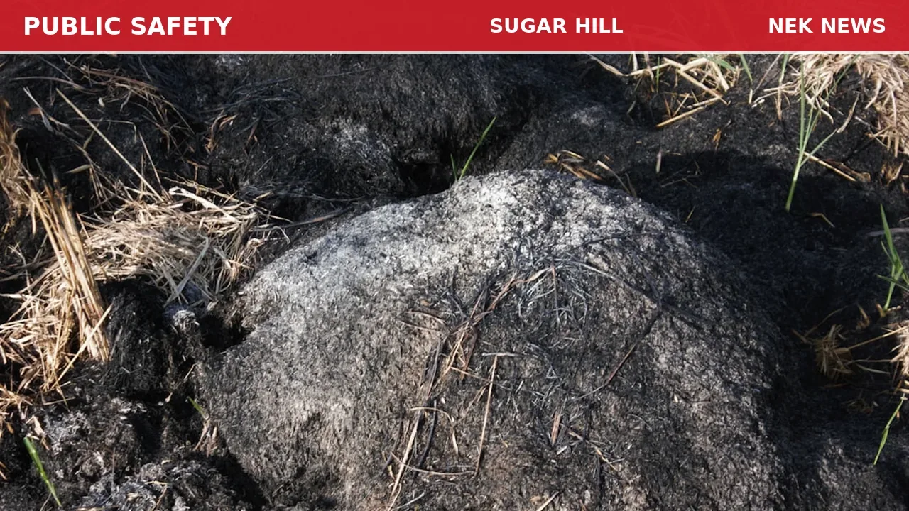 Smoldering Grass Fire Reported in Sugar Hill
