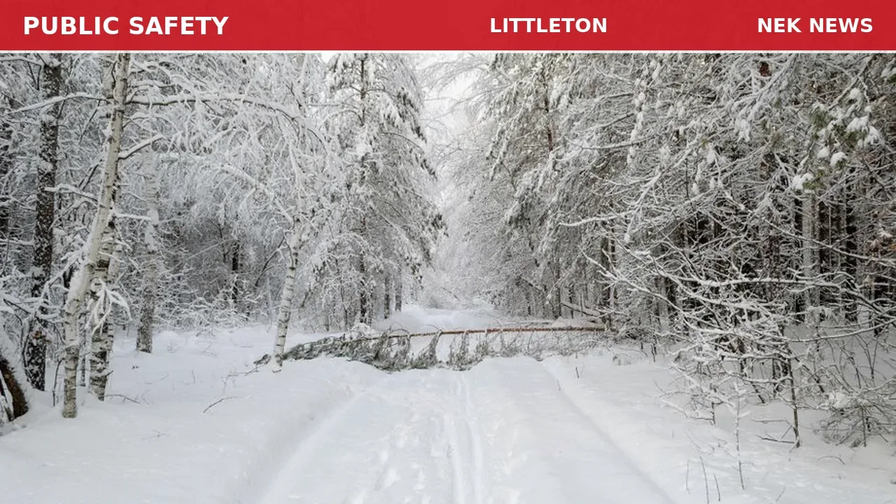 Tree Down Blocking Mt. Garner Road in Littleton