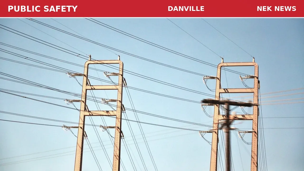 Tree Down on Power Lines Prompts Response in Danville