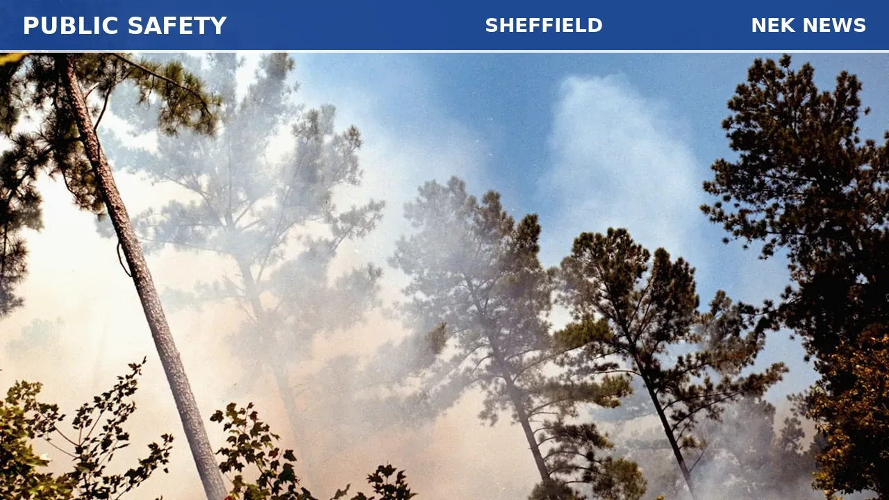 Log cabin fire in Sheffield kills three animals, displaces one
