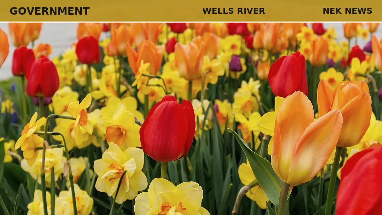 Wells River Village OKs $200k transfer from general fund