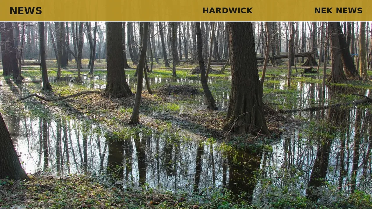Hardwick floodplain official wins national award