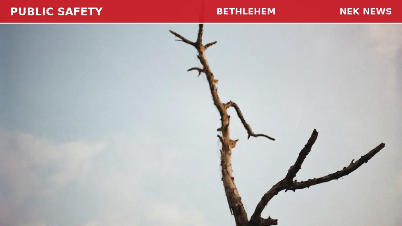 Debris in Road on Route 302 in Bethlehem