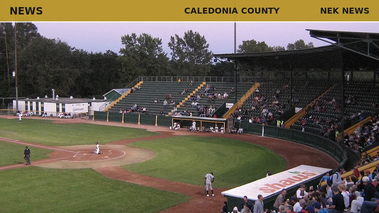 Lyndon baseball falls to Mt. Abraham in D-II final