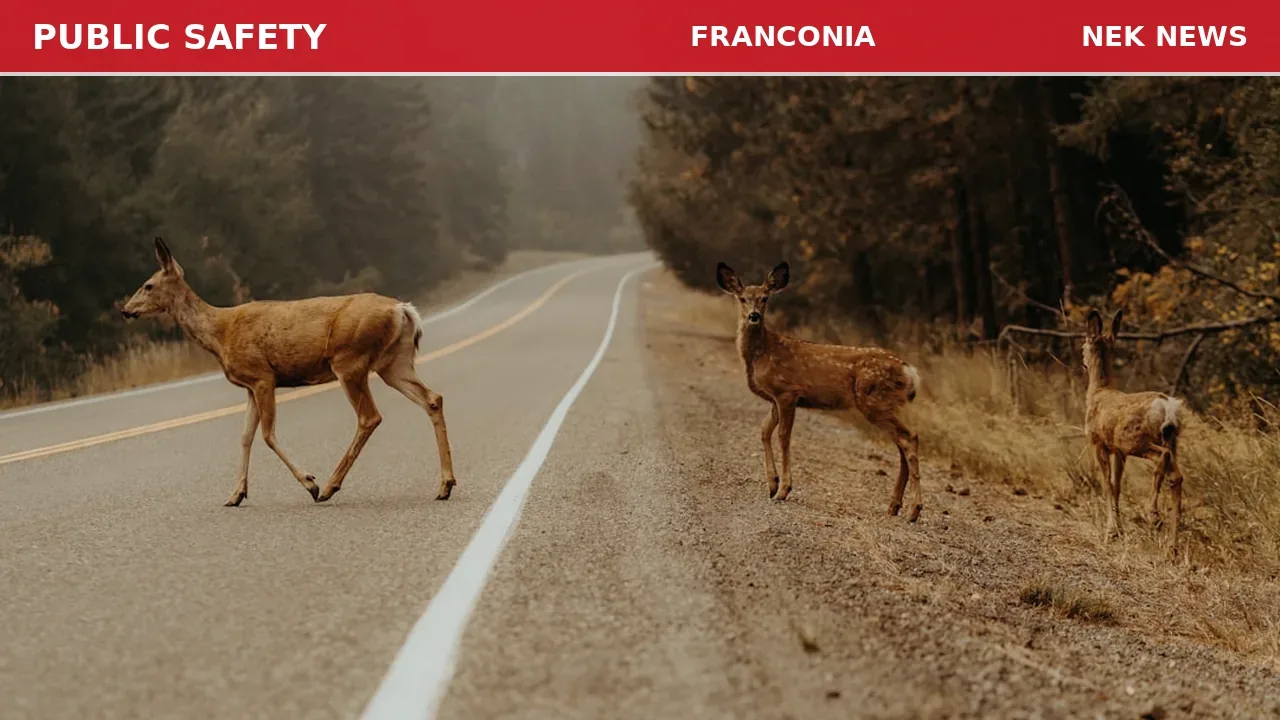 Car vs Deer on I-93 in Franconia