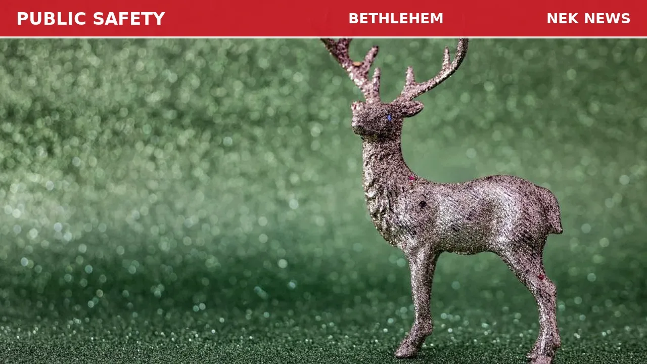 Vehicle vs Deer Crash with Fluid Leak in Bethlehem