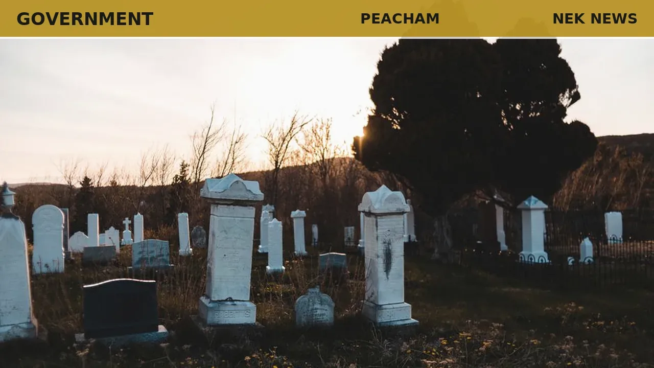 Peacham selectboard considers $100k cemetery tree removal