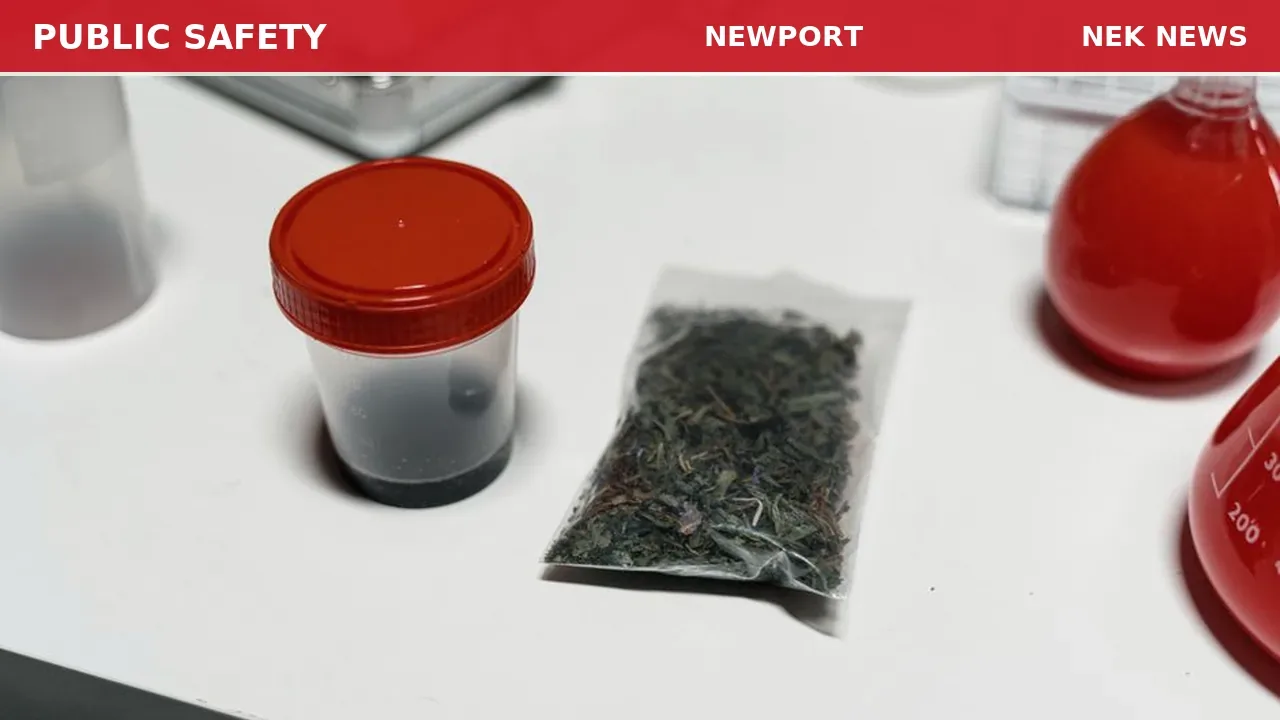 Medical Call for Marijuana Reaction on Beetle Hill Road in Troy
