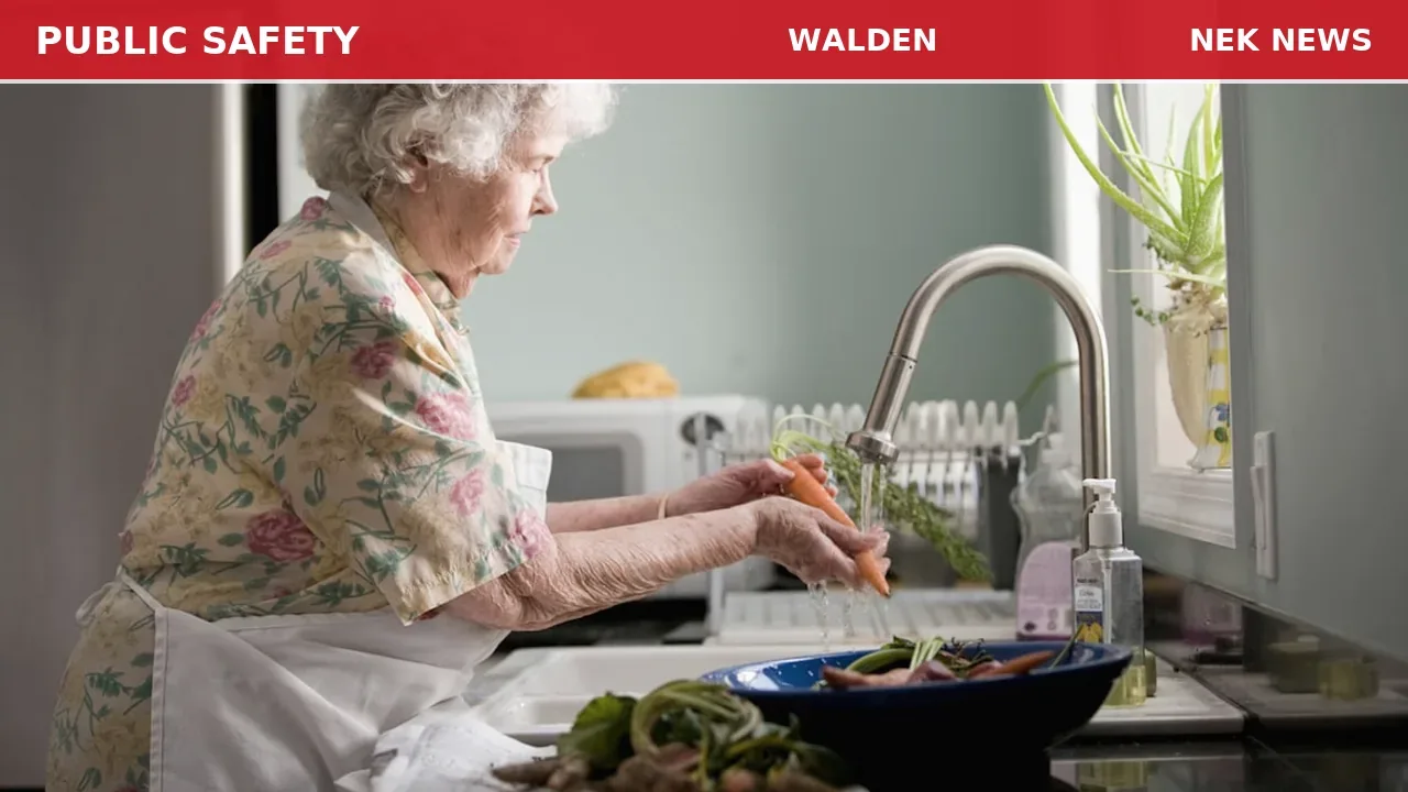 Elderly woman with vomiting and fever in Walden