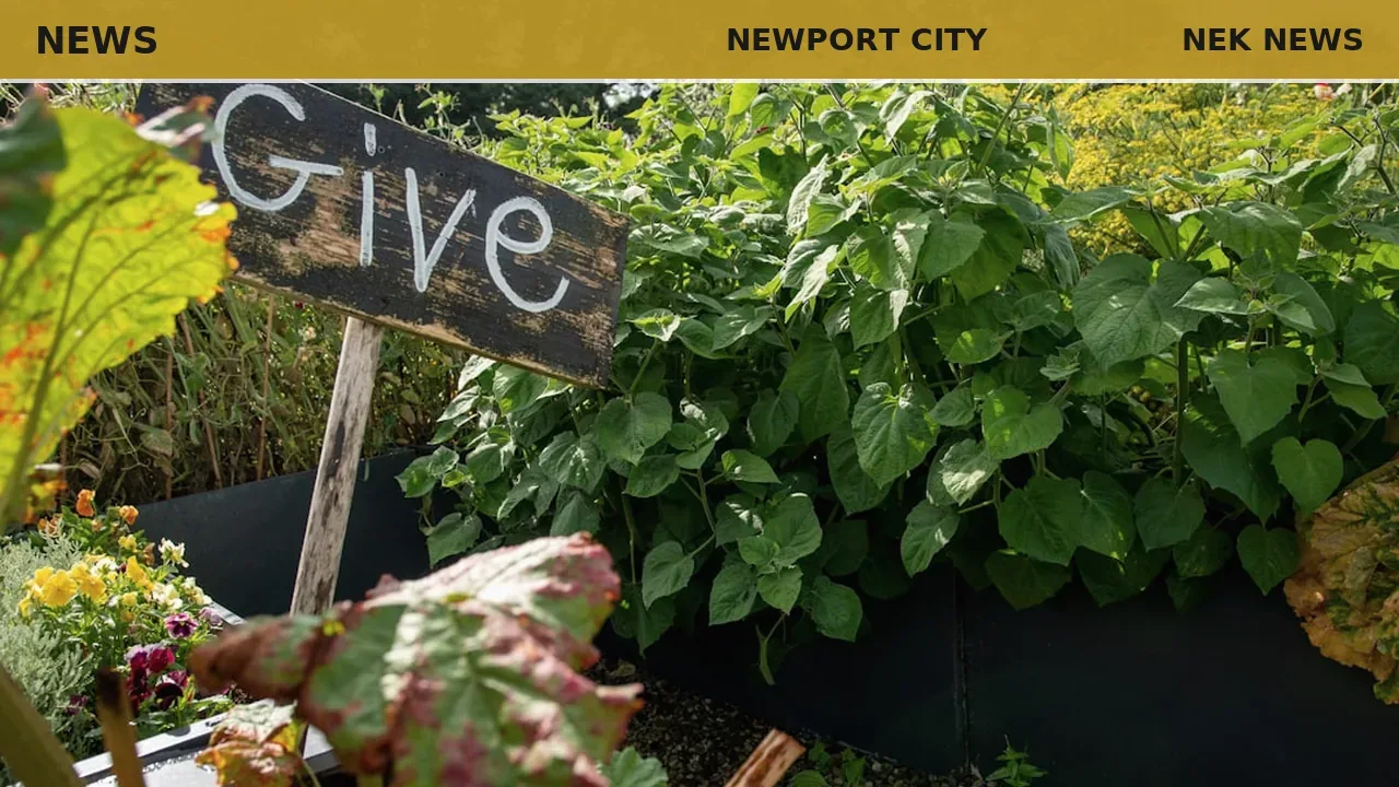 Community garden revived on Third Street in Newport City