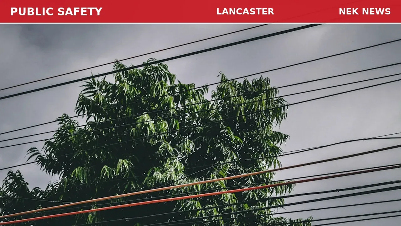 Tree Threatening Power Line Reported on Portland Street in Lancaster