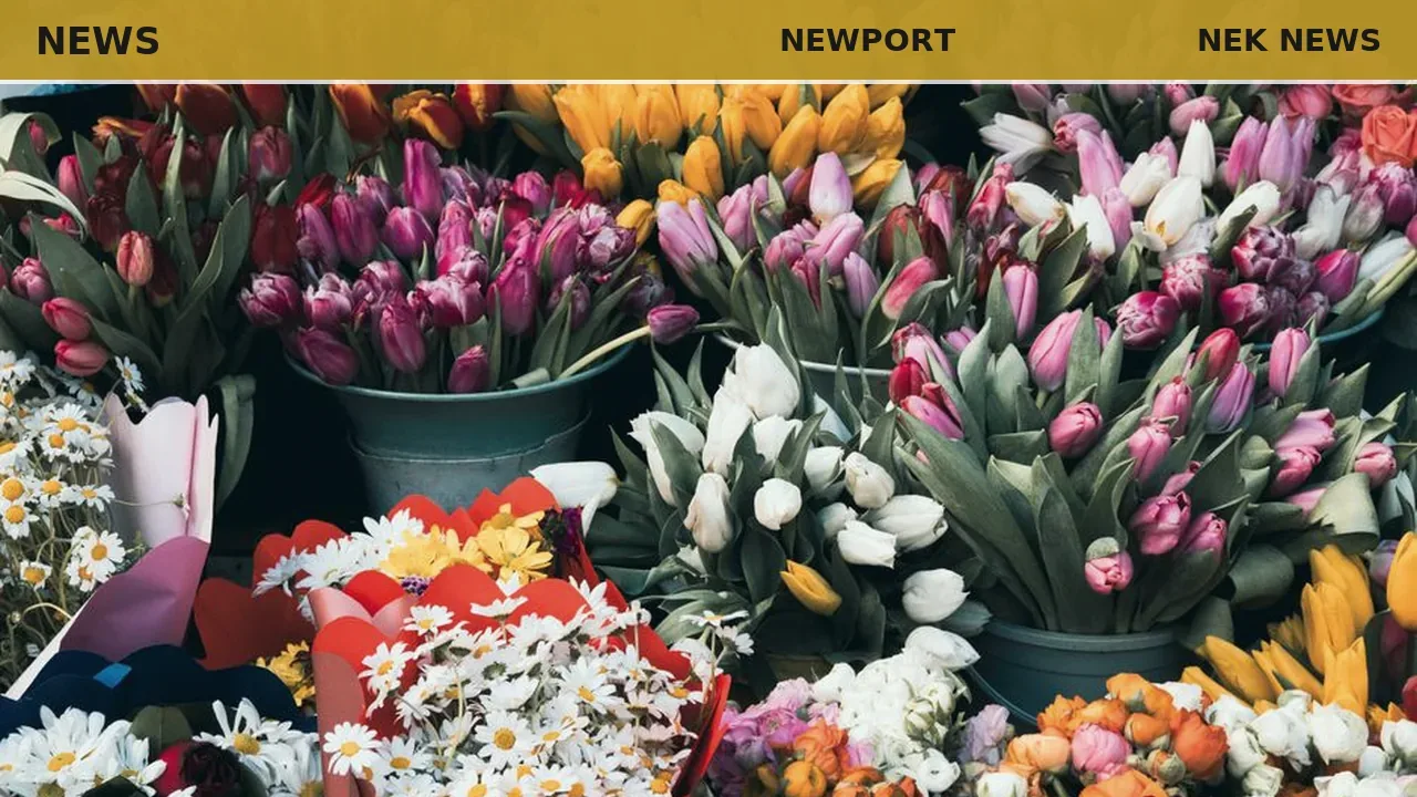 Carm's Wild Flowers blooms at Newport Farmers Market