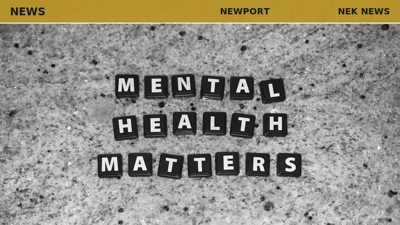 Naughton named top Mental Health First Aid trainer in Vermont