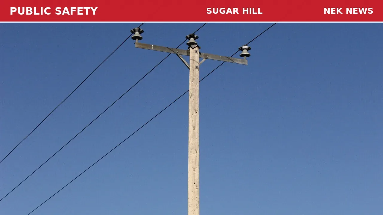 Downed Pole Cleared on Road in Sugar Hill
