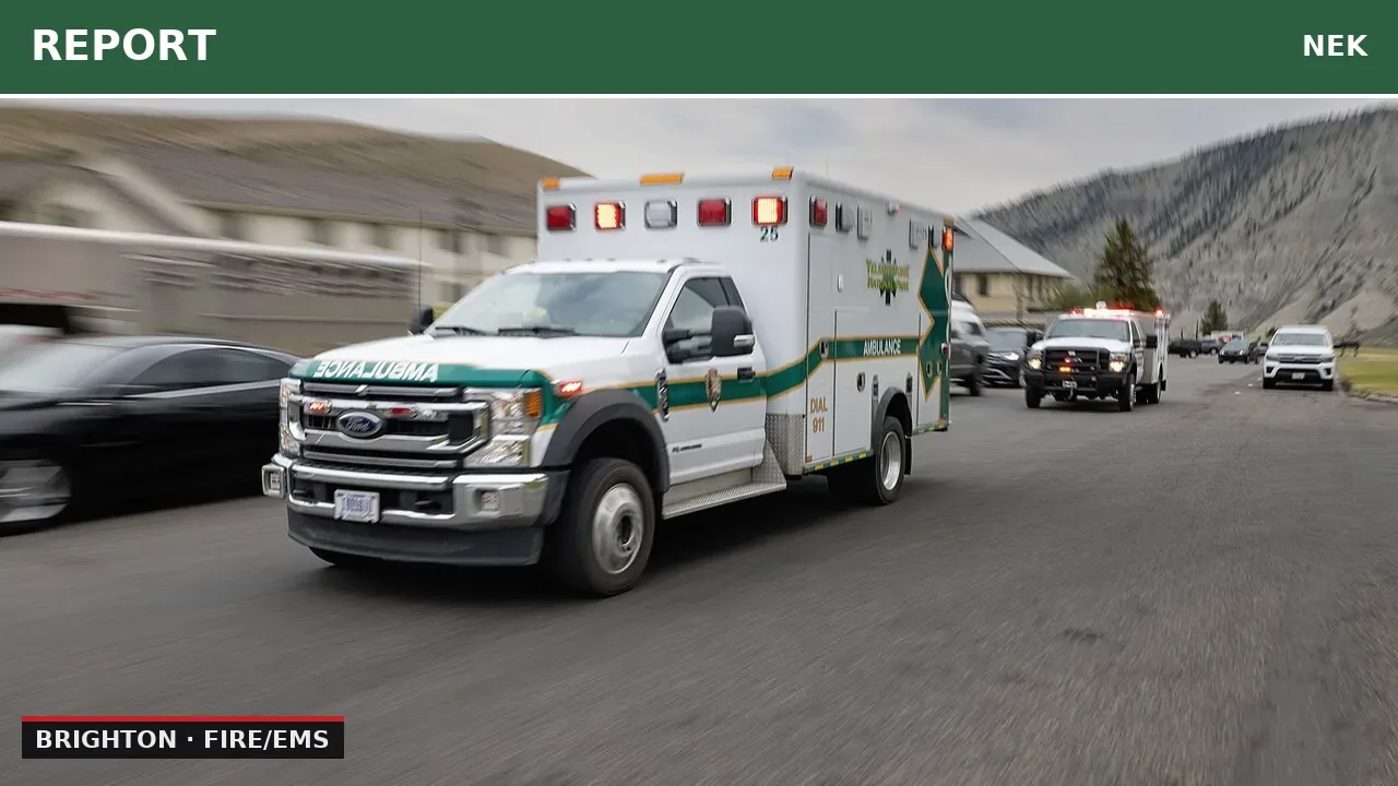 Spreading Swelling Prompts Brighton Medical Call
