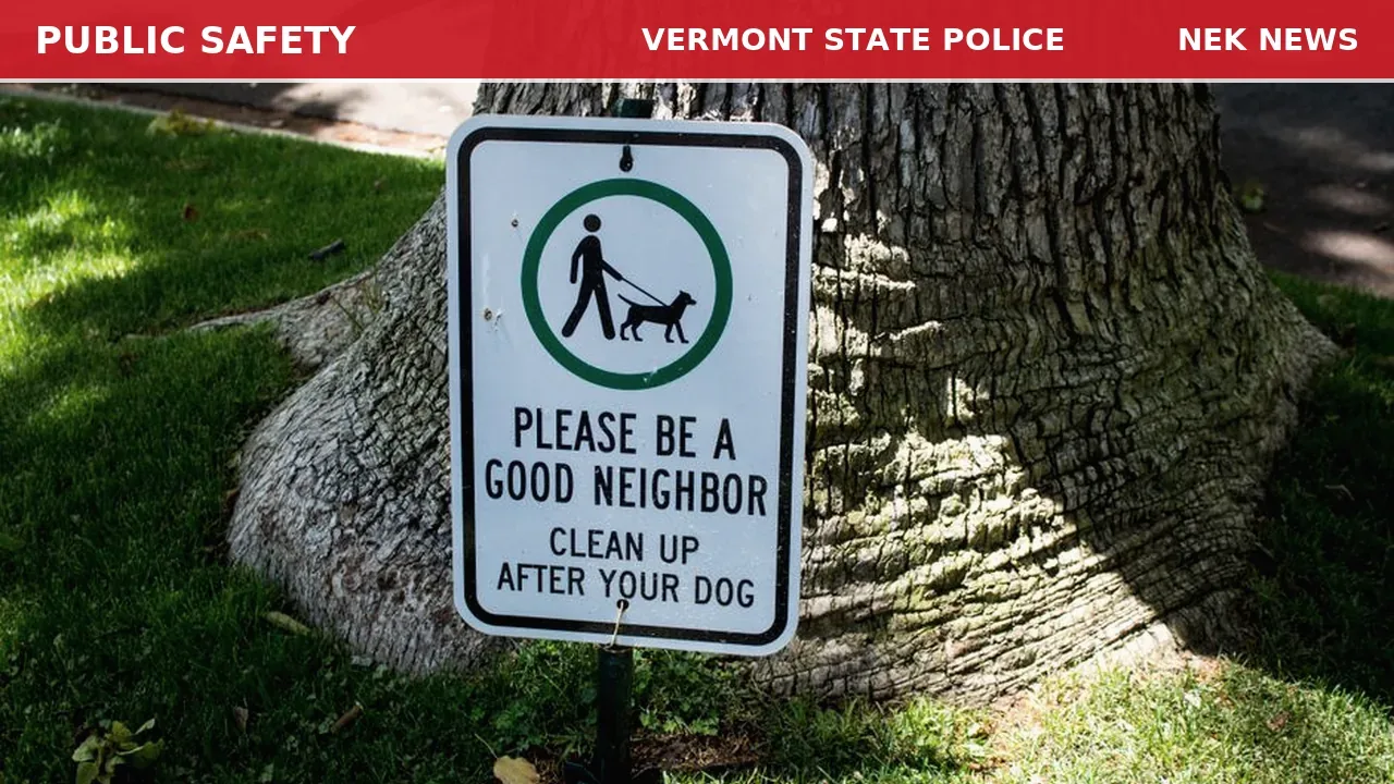 Dog Attack on Pleasant Street in St. Johnsbury