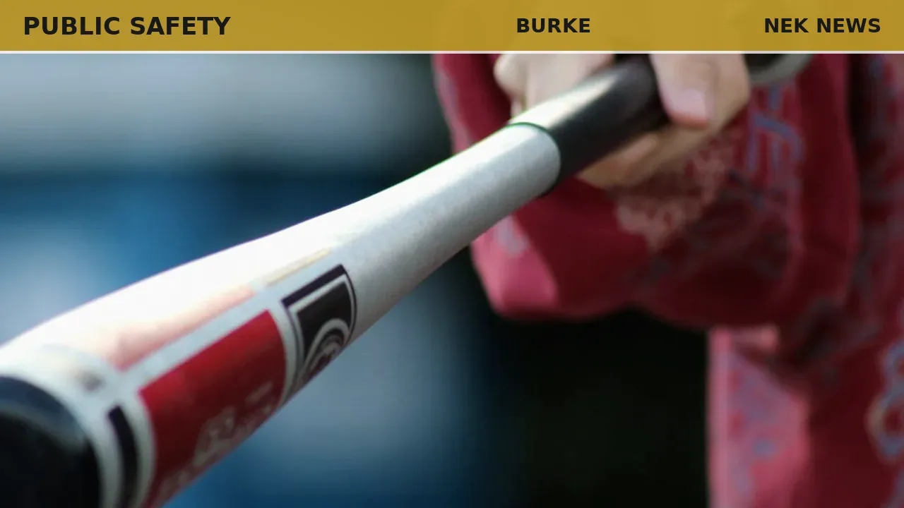 Woman charged with threatening man with baseball bat in Burke