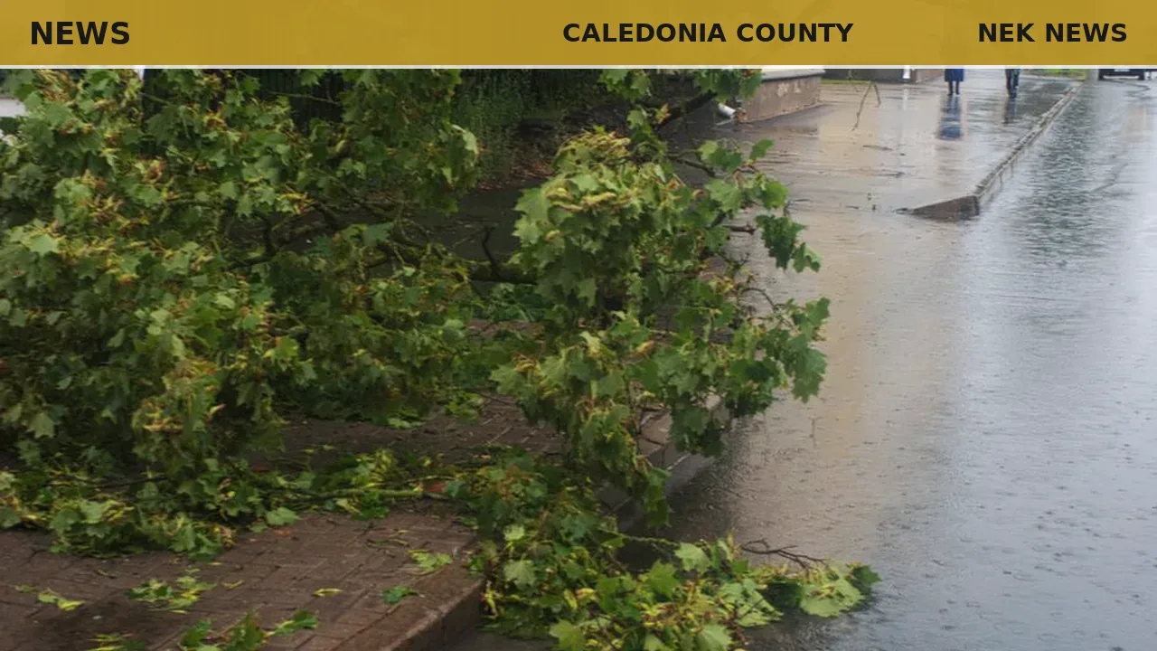 Storm winds cause significant damage in East Burke