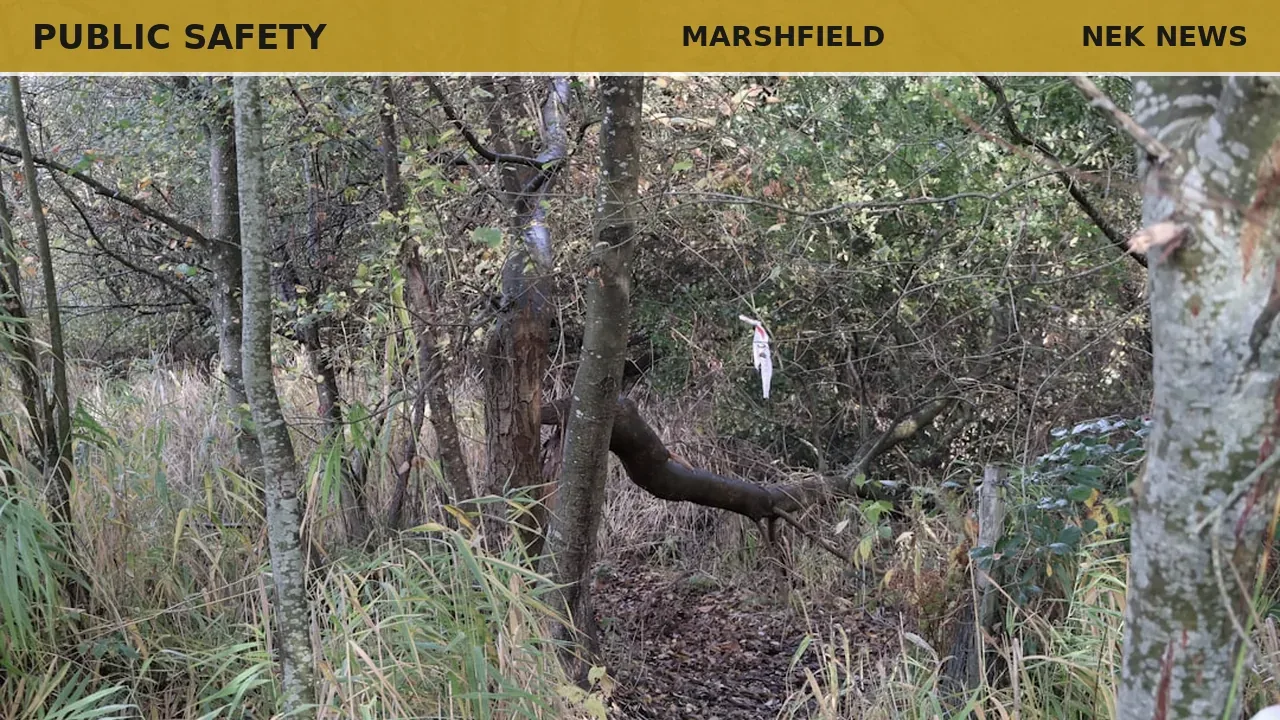 Aggressive hawks reported in Marshfield Forest trail section