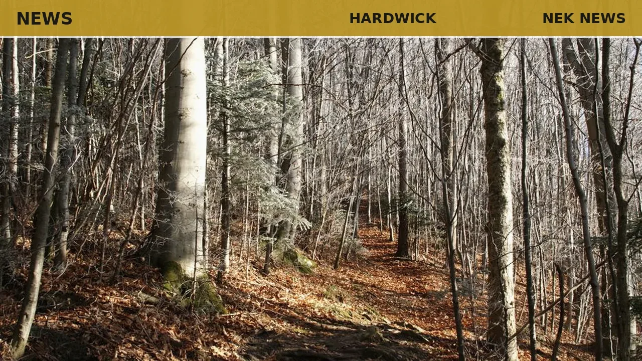 Buffalo Mountain Town Forest Steering Committee launches survey
