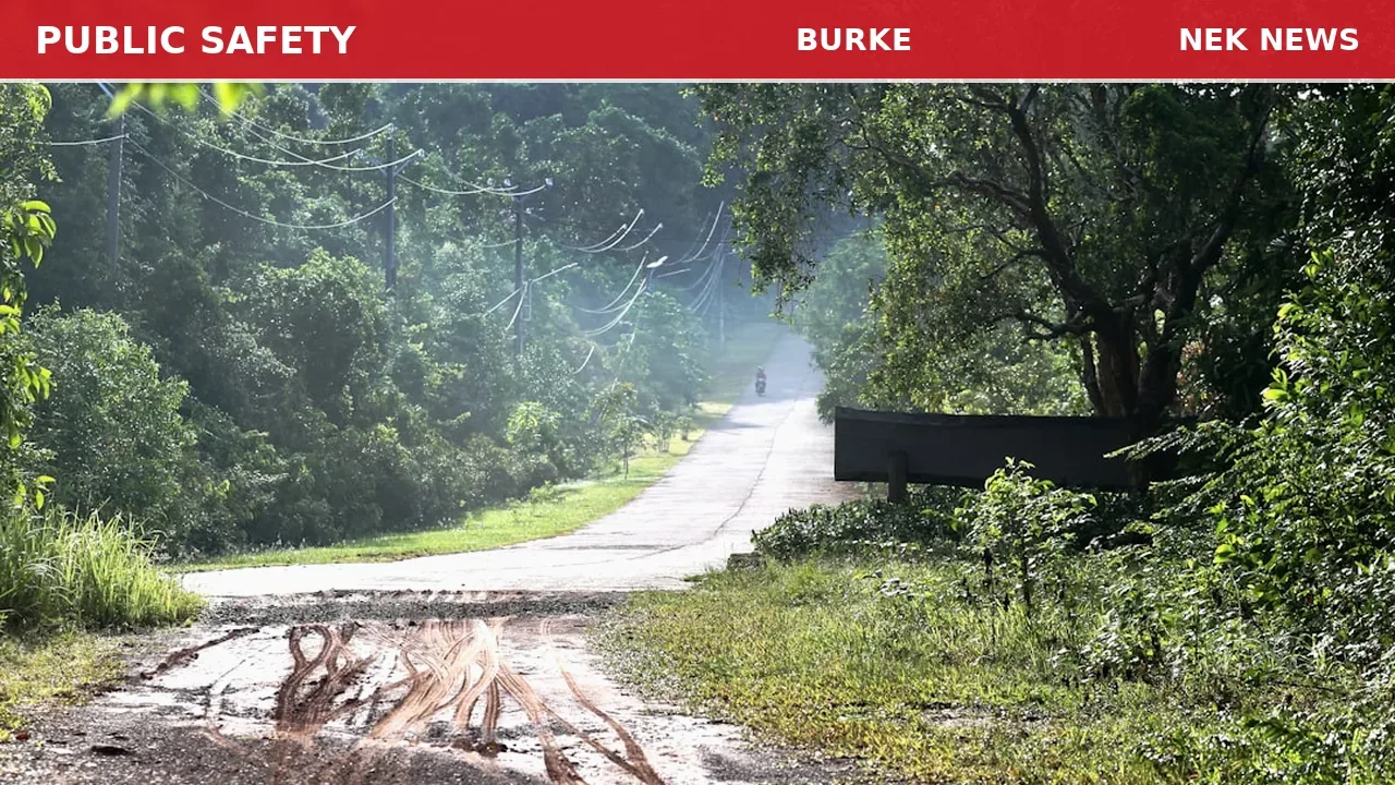 Tree Down Blocking Road on Granger Road in Burke