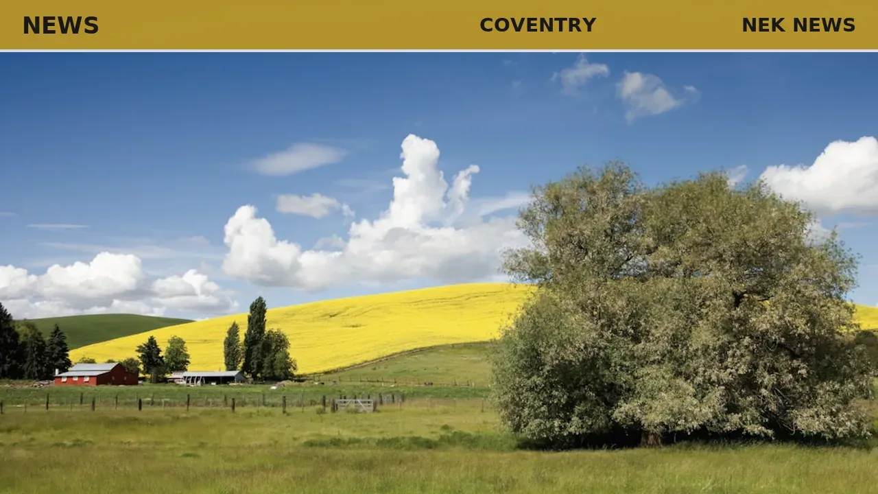 Coventry Selectboard OKs broadband expansion, energy upgrades