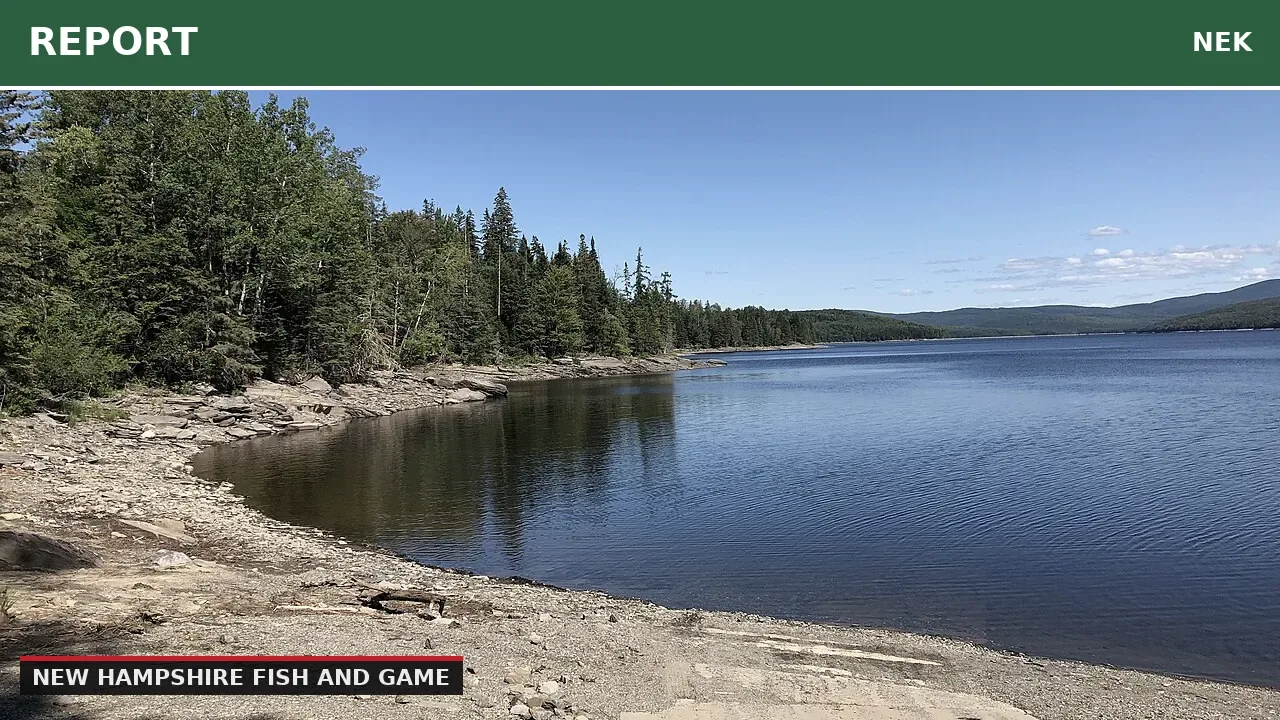 Dog rescue underway on Lake Francis