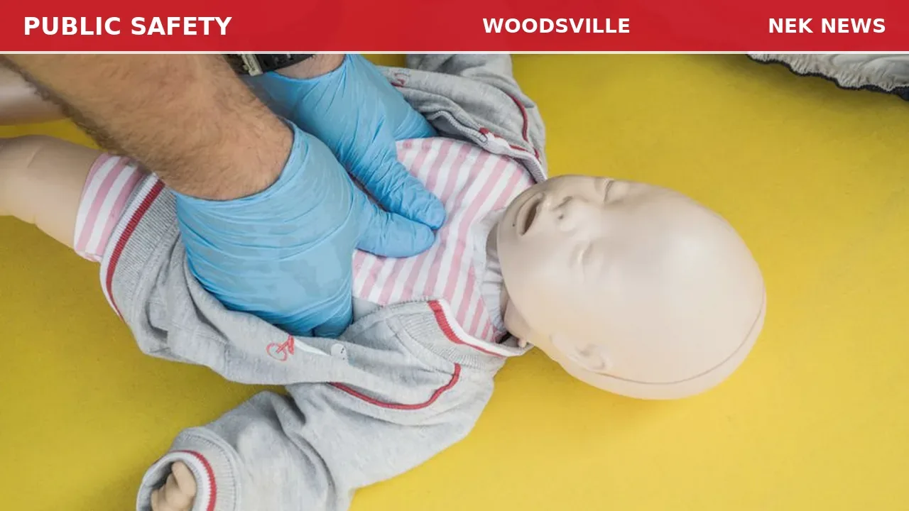Infant Stung by Bumblebee in Ryegate