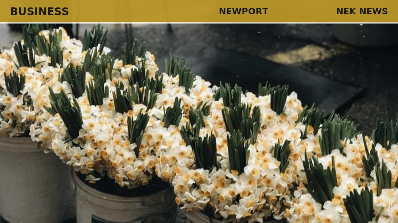 Carmen Visan's flower crafts bloom at Newport Farmer's Market