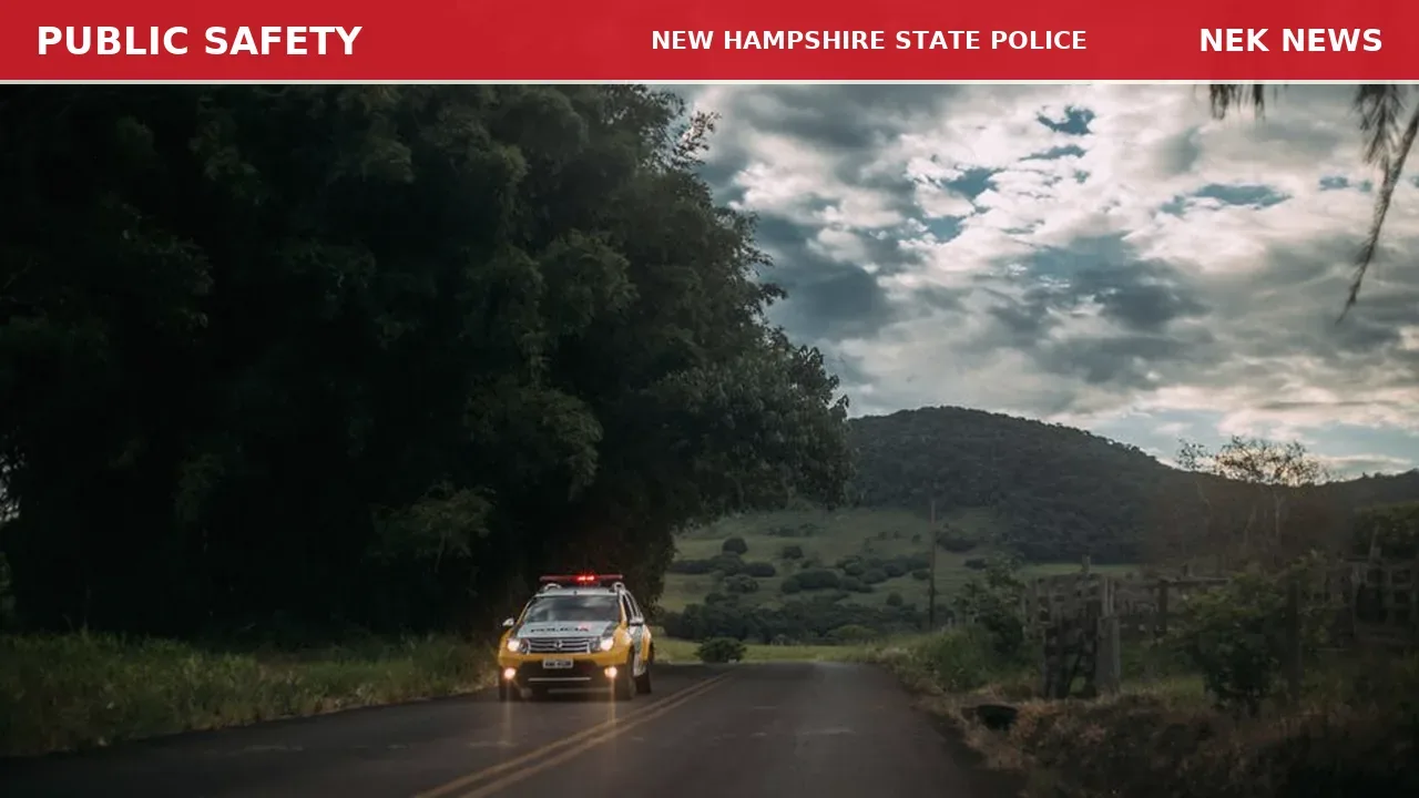 Motor Vehicle Crash with Bear on I-93 in Coos County