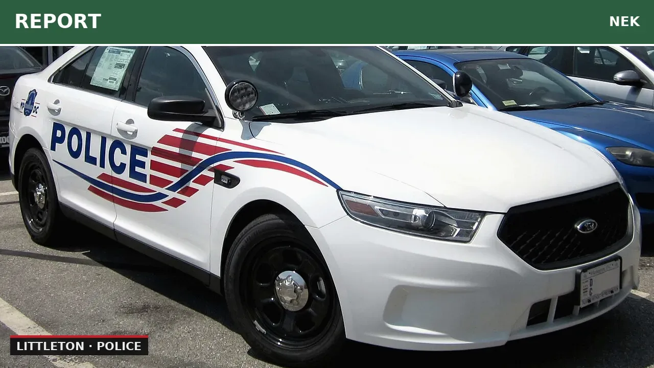 Police respond to report of armed person at Lowe's