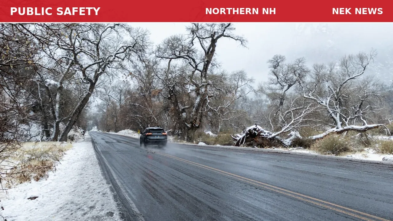 Tree Down in Roadway on I-93 South