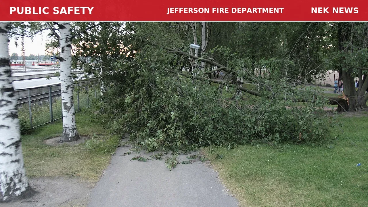 Tree Down Blocks North Road in Jefferson