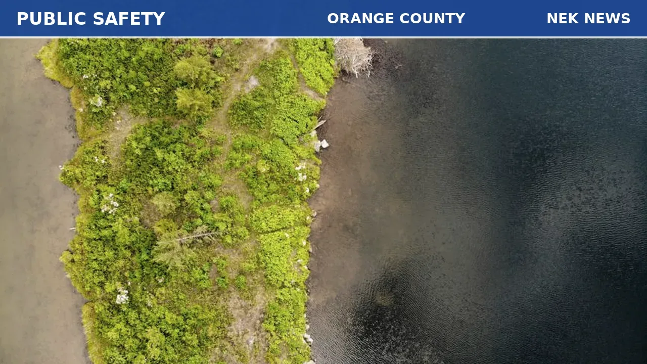 Black bear found shot, dumped at Newbury boat launch
