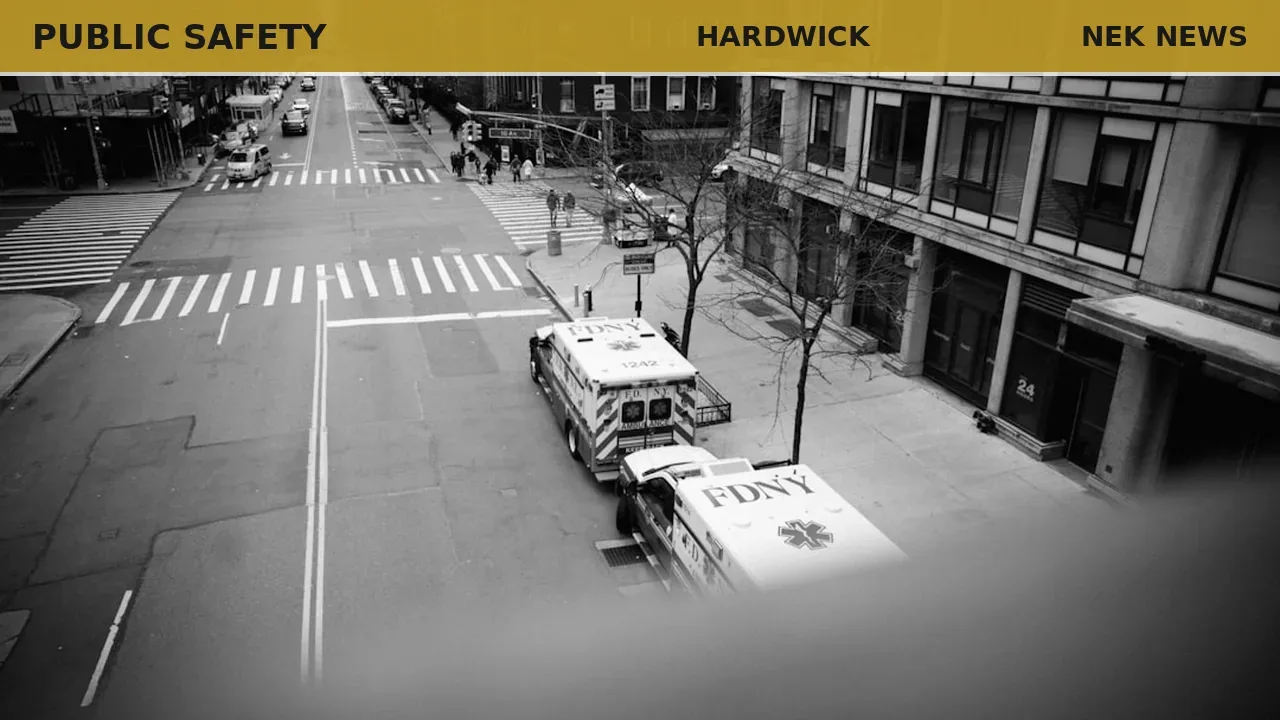 Two die in Hardwick crash; police report stolen BMW, suspended license arrest